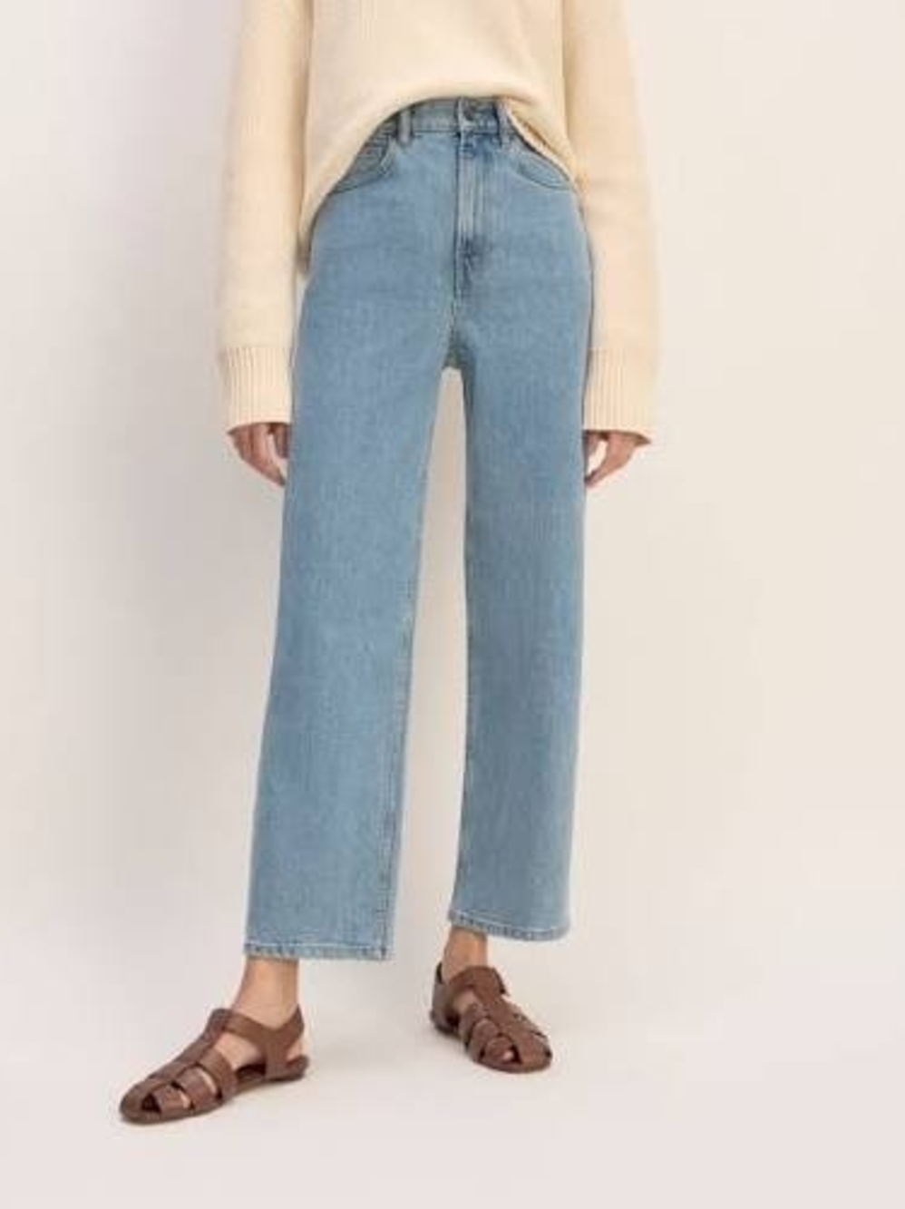Everlane The Way High Jean 27 Long